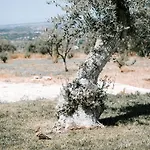 빌라 Redimeti